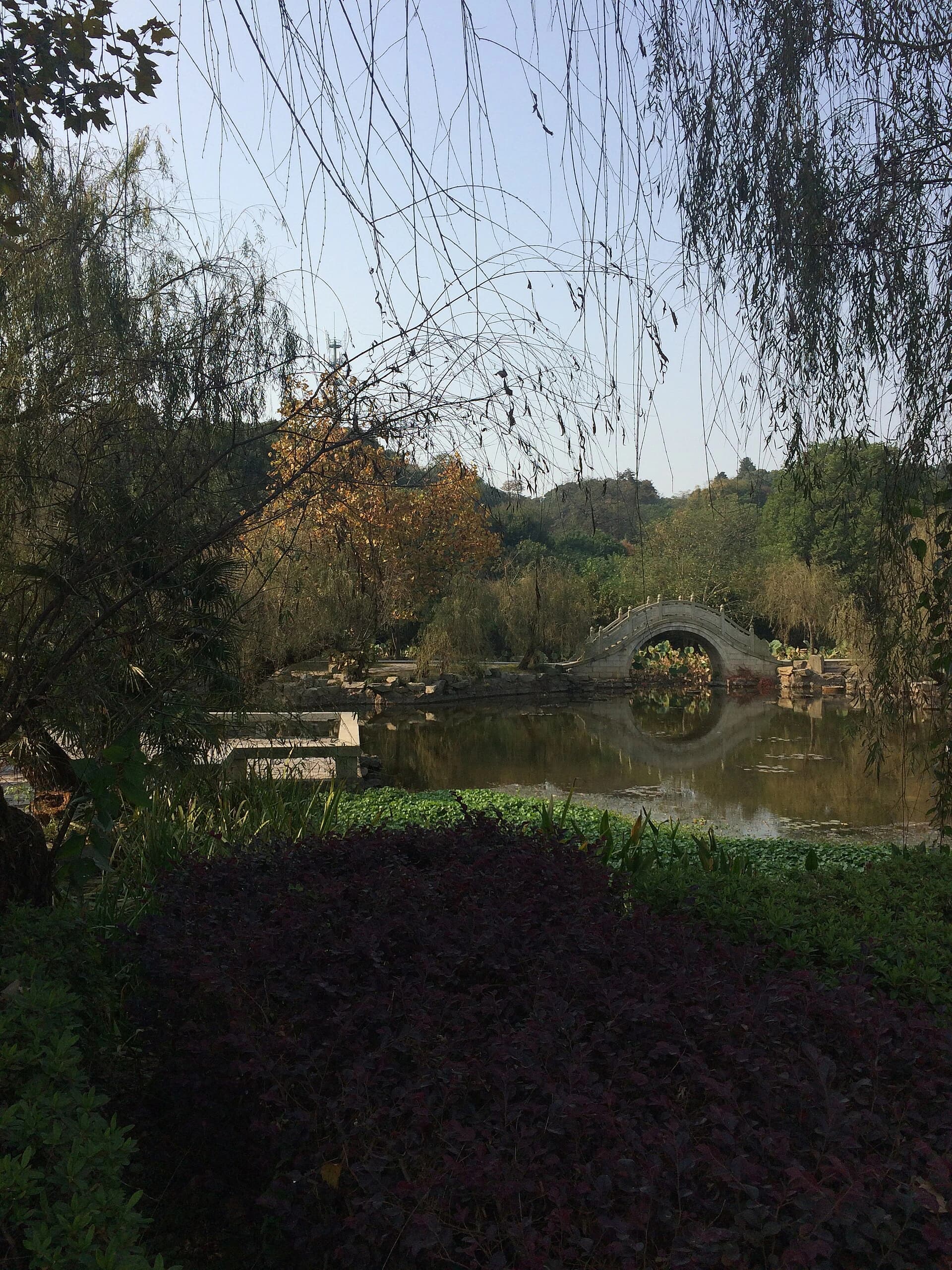A garden bridge crossing still water on Junshan Islet