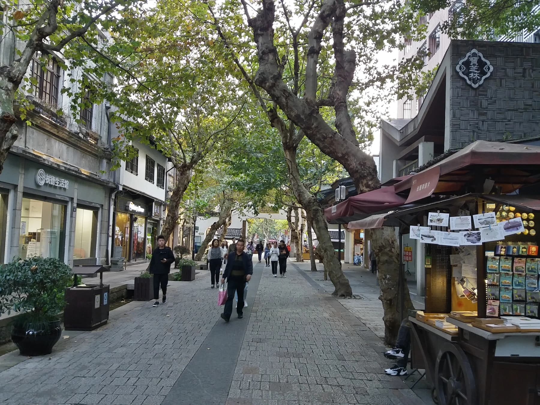 Tramo peatonal de Southern Song Imperial Street en Hangzhou a la sombra de los árboles