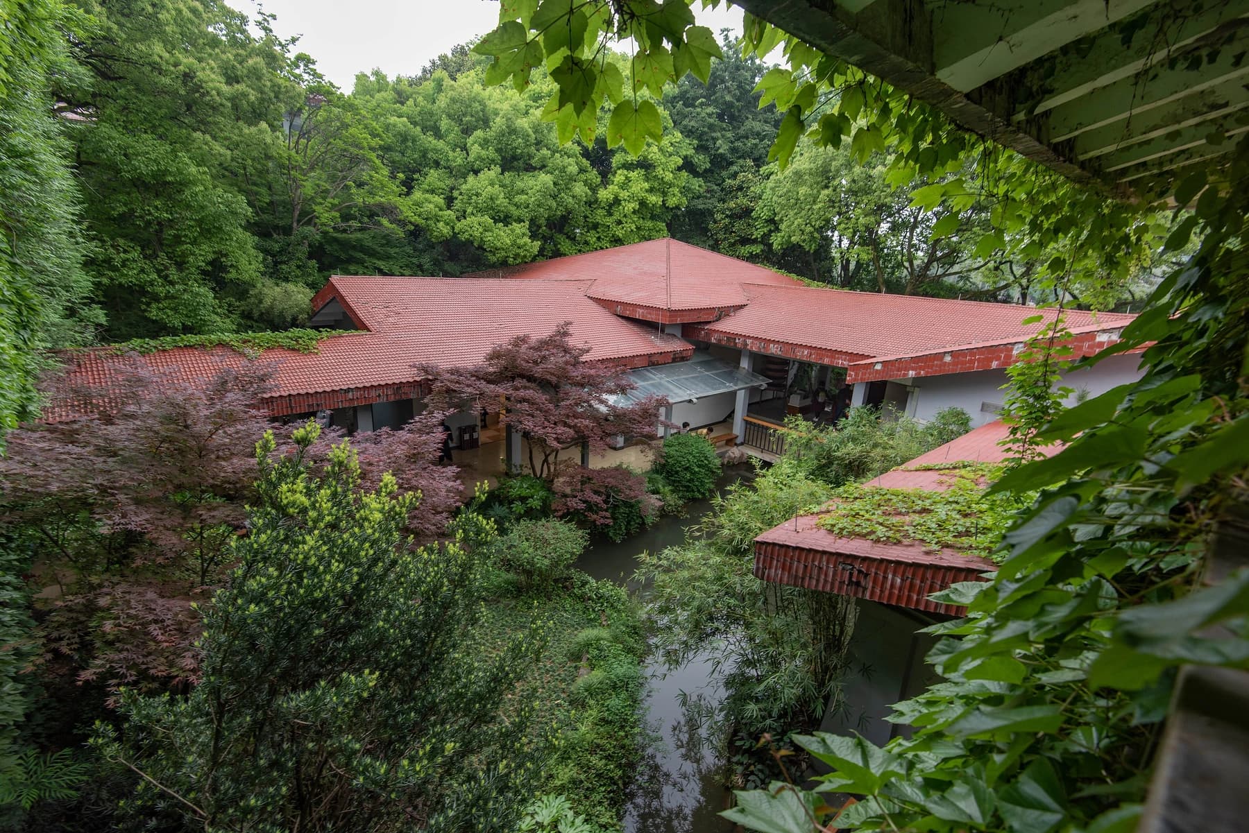 Jardines de té y paisaje del museo en el campus Shuangfeng de Hangzhou