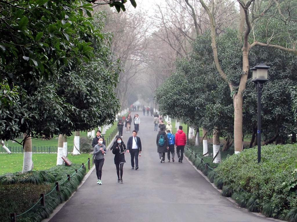 Sendero arbolado en Su Causeway, en West Lake