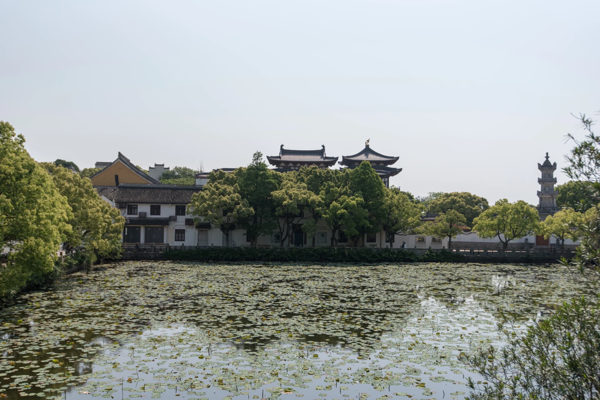 Lake and temple roofline near Puji Temple on Mount Putuo