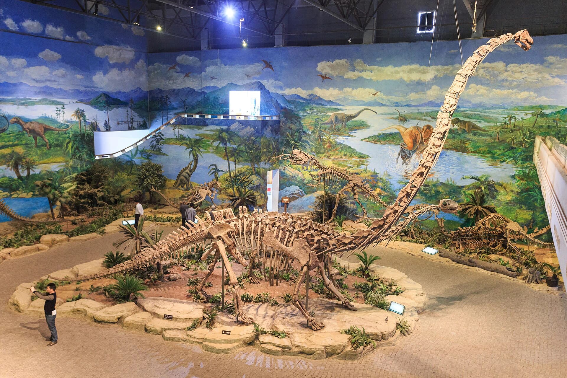 Mounted Mamenchisaurus skeleton inside Zigong Dinosaur Museum
